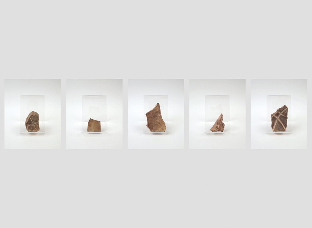 Transformless, 2014